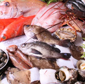 《宴会》歓送迎会など各種宴会にも