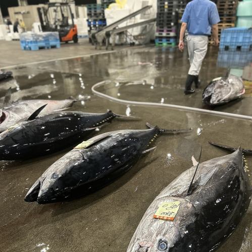 朝、水揚されたばかりの魚