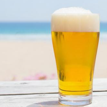 各種お酒をご用意