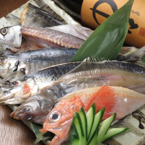 おすすめは種類豊富な一夜干し!