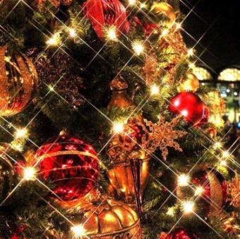 【2025Xmas】테이블 매직으로 물들이는 더블 메인 코스【동반의 이름 기재 필수】