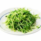 豚肉とナスの辛子炒め/トウミョウのさっぱり炒め
