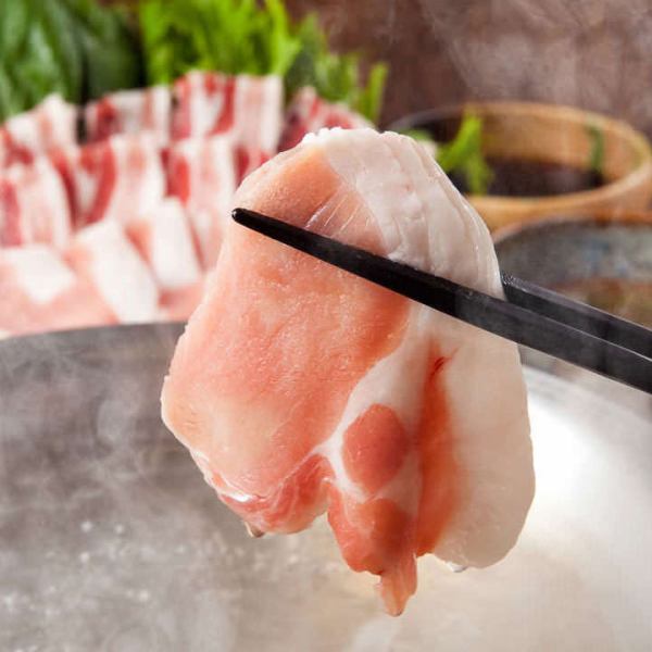 [来自新泻！越后麻mo猪肉]弹性的越后麻pork猪肉is锅是一种豪华的菜，您可以品尝到材料的原始味道