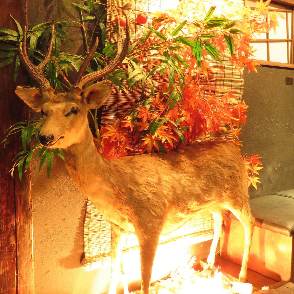 [All seats are private rooms] Stuffed deer welcomes you♪ Yakitori izakaya with completely private rooms