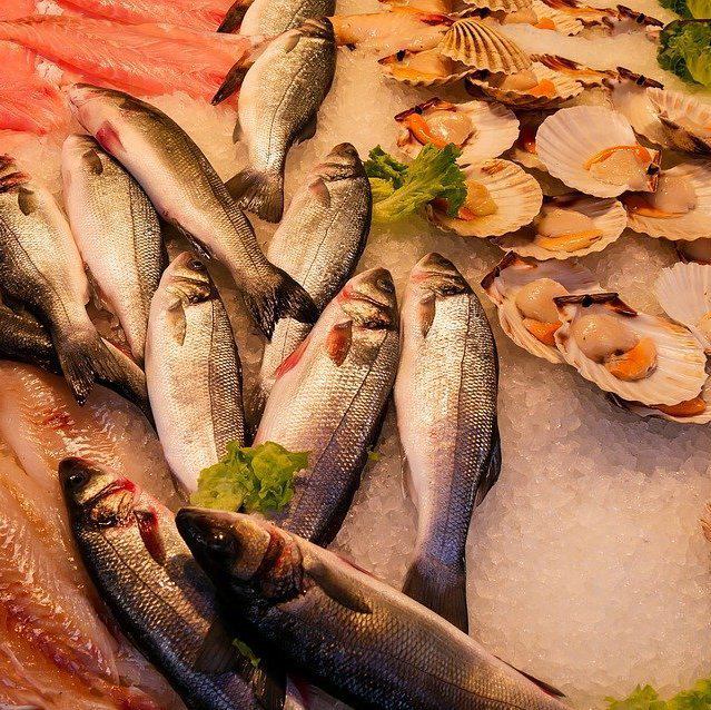 Enjoy the fresh seafood of Manazuru's "blessings of Sagami Bay"!