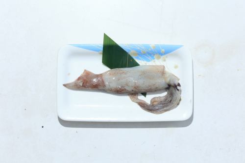 魷魚