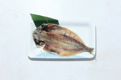 Horse mackerel