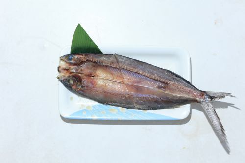 飛魚