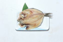 Ebo sea bream