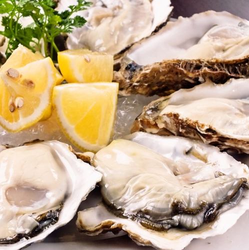 Delicious oysters and Italian food selected from over 50 fishing ports