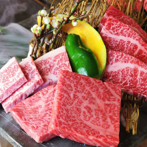 《Reservation on the day is OK! 1 person ~ There is a profitable set that can be used》 Enjoy high quality meat that is particular about feed