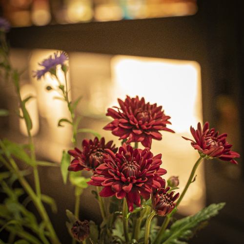 ジン×花がコンセプト