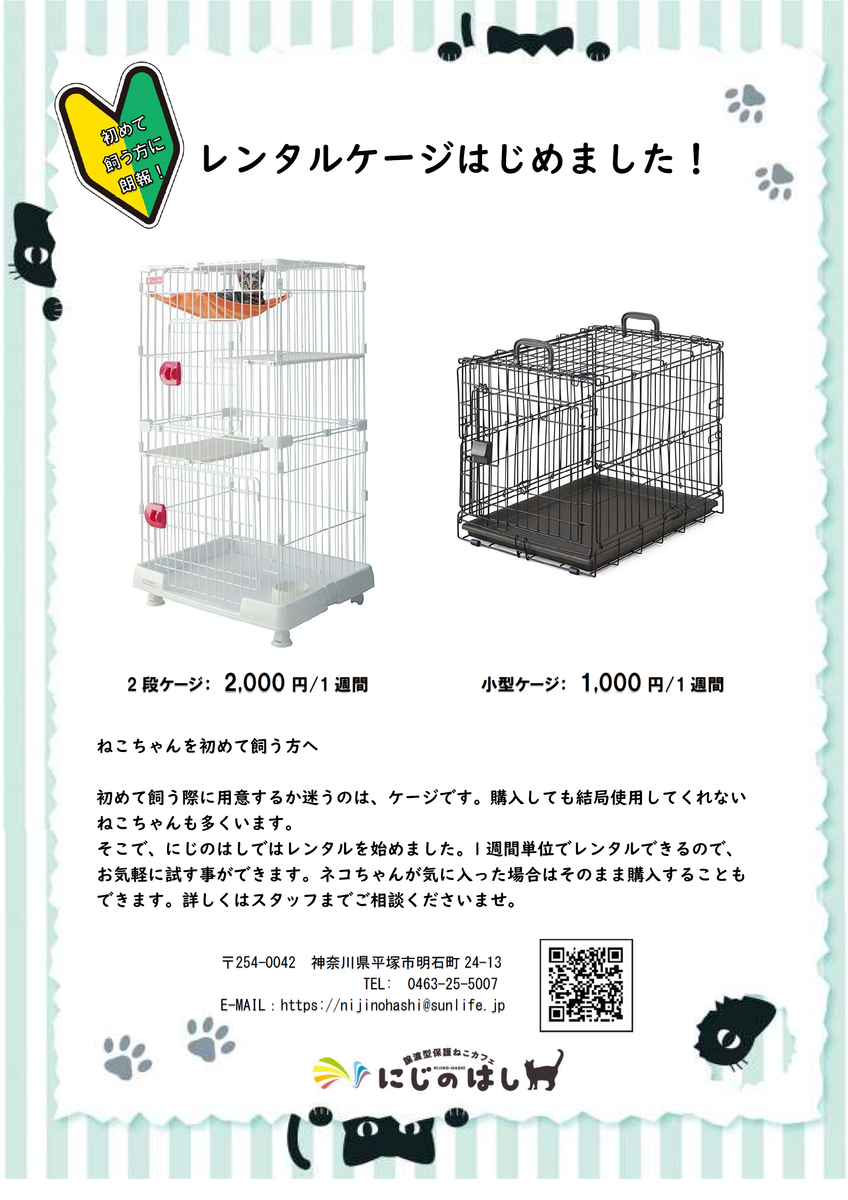 レンタルケージ始めました 譲渡型保護ねこカフェ にじのはし