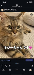 キジーちゃん💕