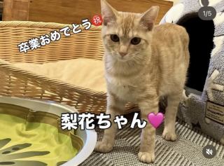 🍀梨花ちゃん卒業🍀