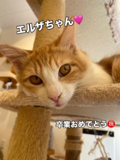 🍀エルザちゃん卒業🍀