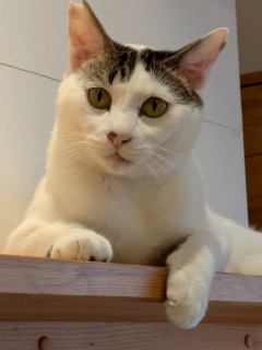 🍀チロ君卒業🍀