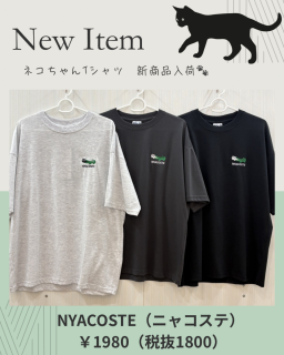 🆕✨新商品アパレル入荷のお知らせ🐈‍⬛