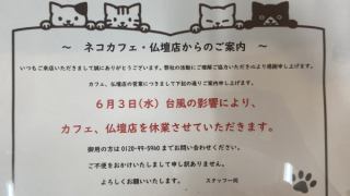 😺臨時休業のお知らせ😺