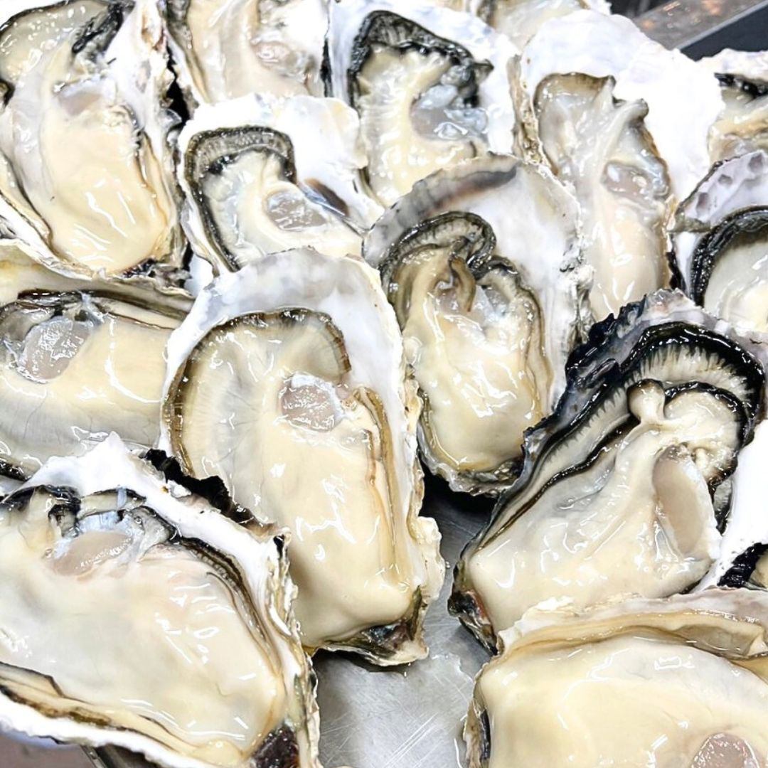産地直送!濃厚な牡蠣を堪能◎