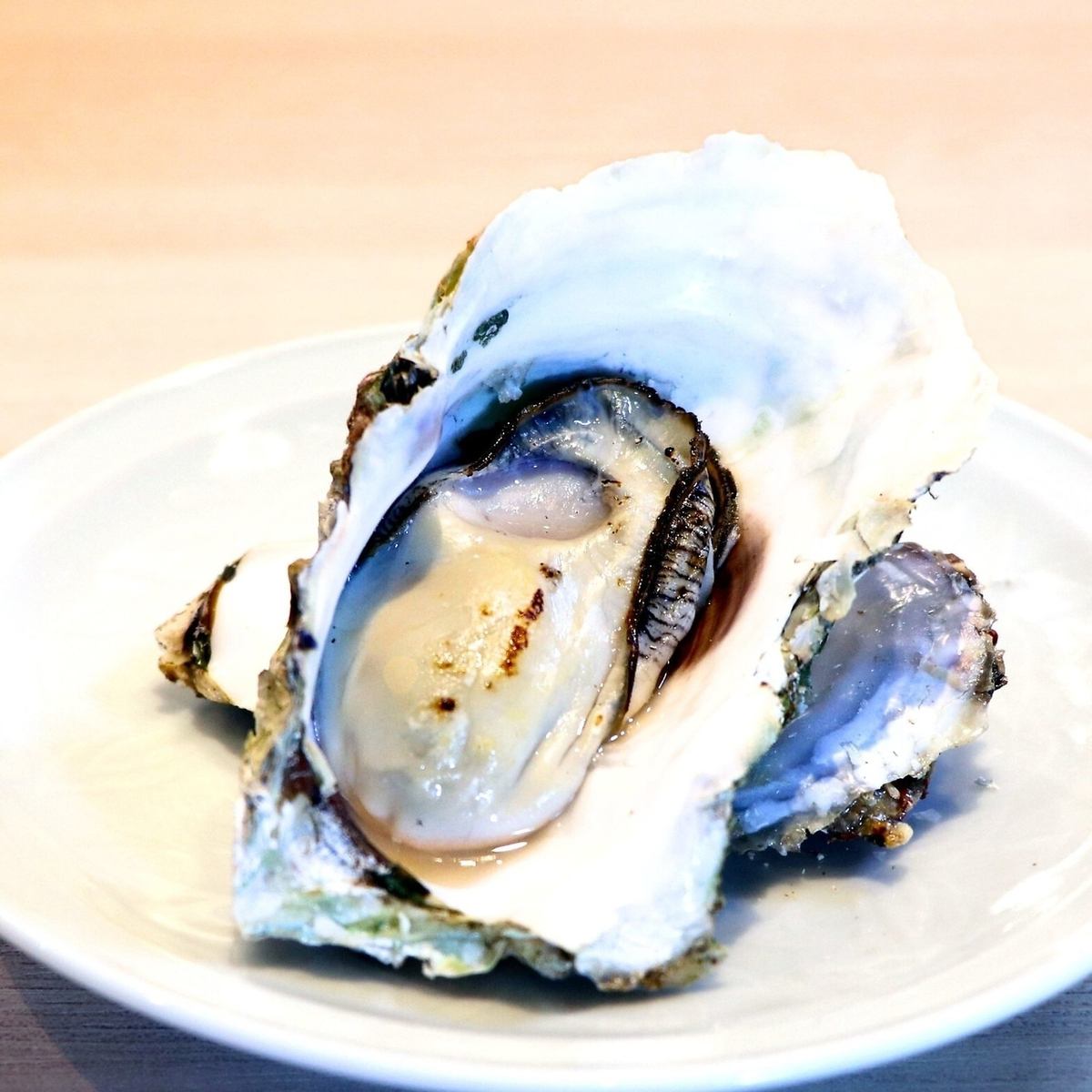昼飲みも楽しめる牡蠣酒場!