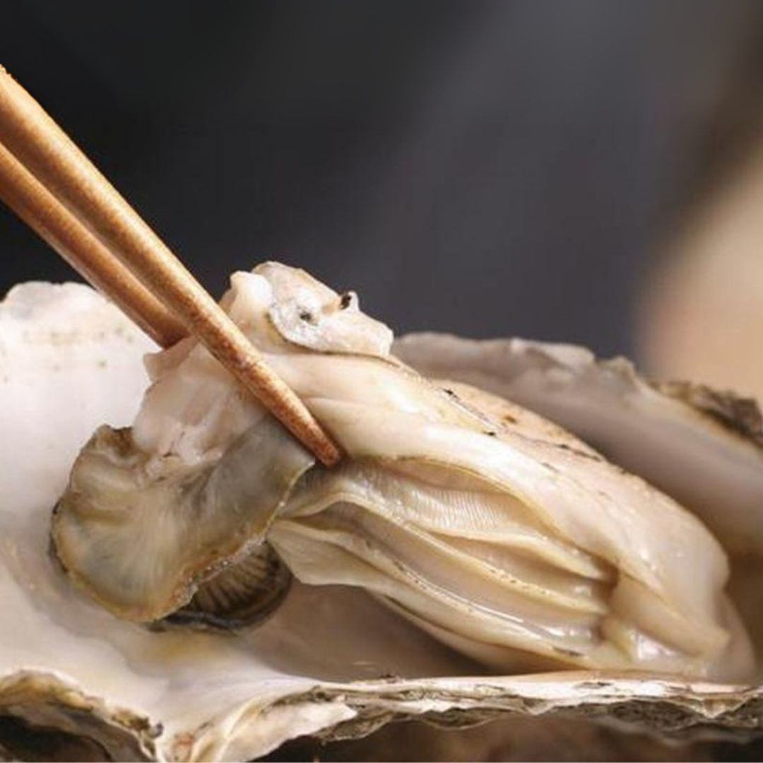 三陸直送の新鮮牡蠣をご提供!