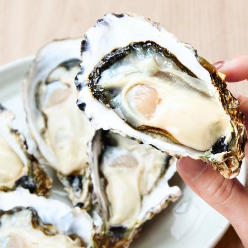 三陸牡蠣を贅沢に堪能