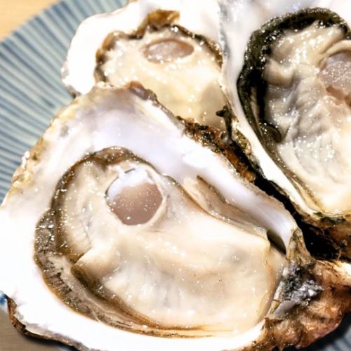 【産地直送】濃厚な旨み広がる三陸産生牡蠣 1個110円