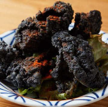 M78星雲の隕石カラアゲ