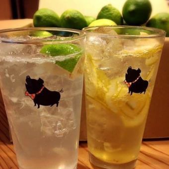 期間限定　飲み放題　　通常2時間飲み放題2000円がお得に！！1800円(税込み）でご提供です。