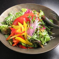 Magokoro Colored Salad