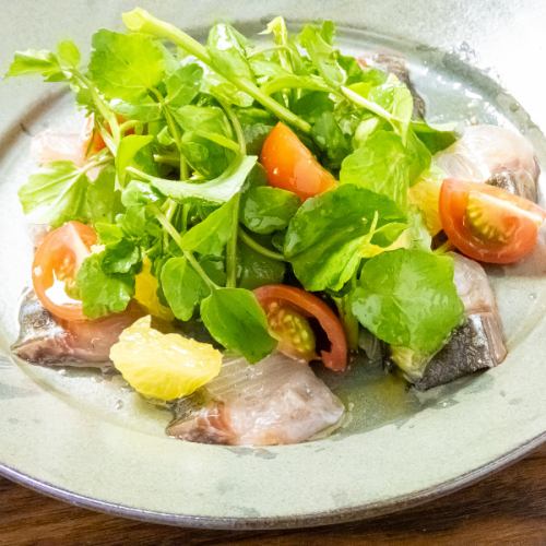 鮮魚のカルパッチョ、セルバチコとハーブのサラダ仕立て