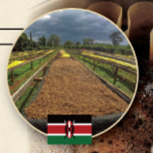 Kenya Kirinyaga 100g