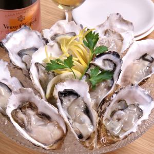 Assorted fresh raw oysters