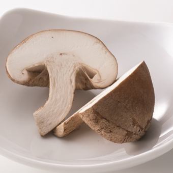 thick shiitake mushroom