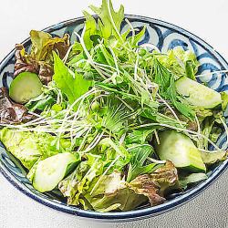 《うまい！》グリーンサラダ