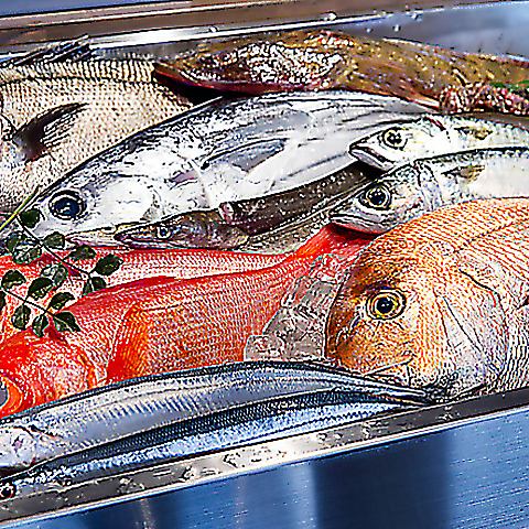 新鮮な食材を使用しています♪