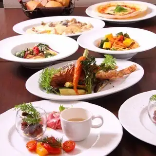 オッキャーリ オガ 公式