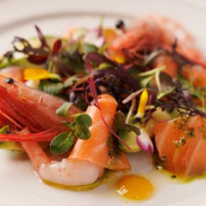 Shrimp, fresh fish and avocado carpaccio