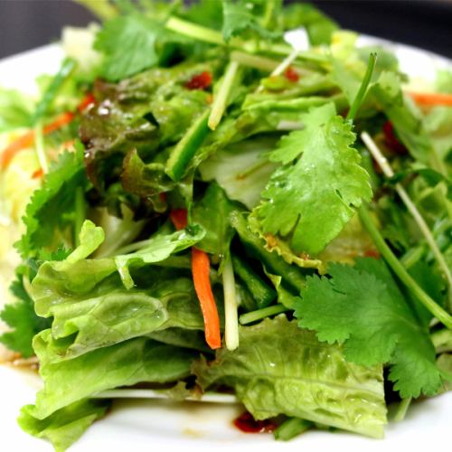Old tiger vegetable (Beijing-style coriander salad)