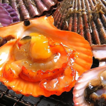 【土佐コース】2ｈ飲み放題付き5000円(税込)※クーポン利用で飲み放題延長or20時以降来店500円引