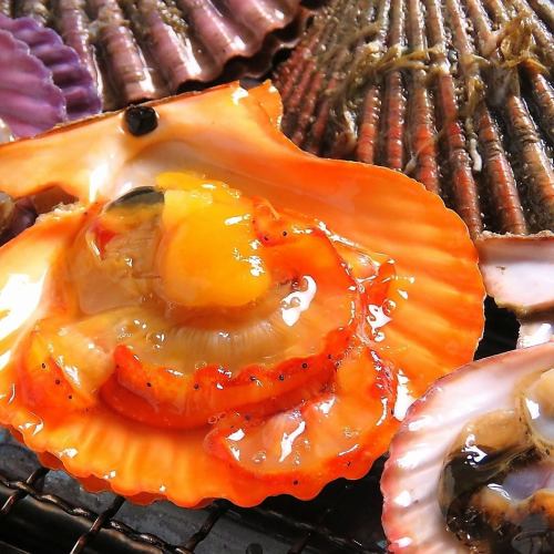 [Tosa Course] Market-fresh sashimi platter with three kinds of Wagyu roast beef! 10 dishes in total, 2 hours of all-you-can-drink included