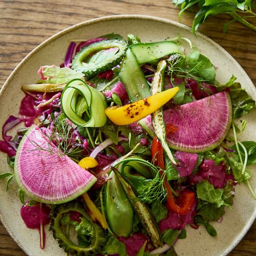 Enjoy the seasonal flavors and visuals with this colorful presentation. [Salad made with seasonal vegetables]