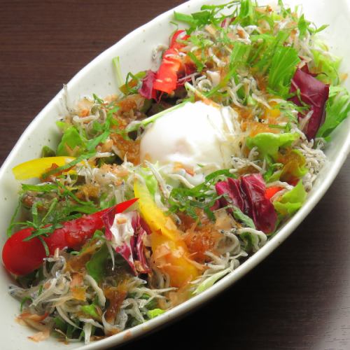 Satsuma shirasu and green perilla sleet hot ball salad
