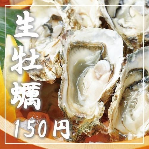 Shocking price! Raw oysters for 150 yen