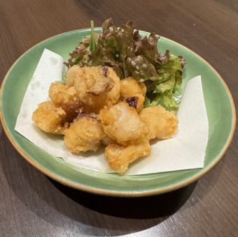 북해수 타코잔기