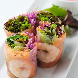 Shrimp and salmon spring rolls