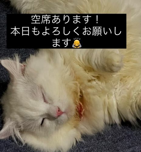 空席あります!
本日もよろしくお願いします🙇