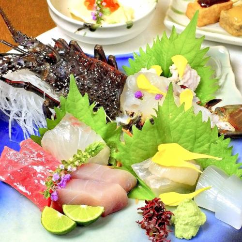 Assortment of live spiny lobster sashimi