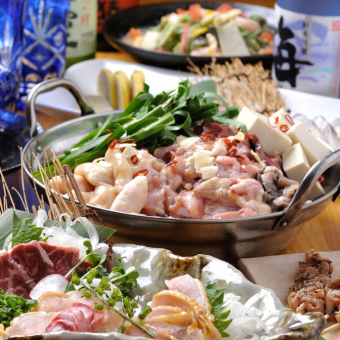 [Horse sashimi hot pot course D] All-you-can-drink for 2 hours in a private room♪
